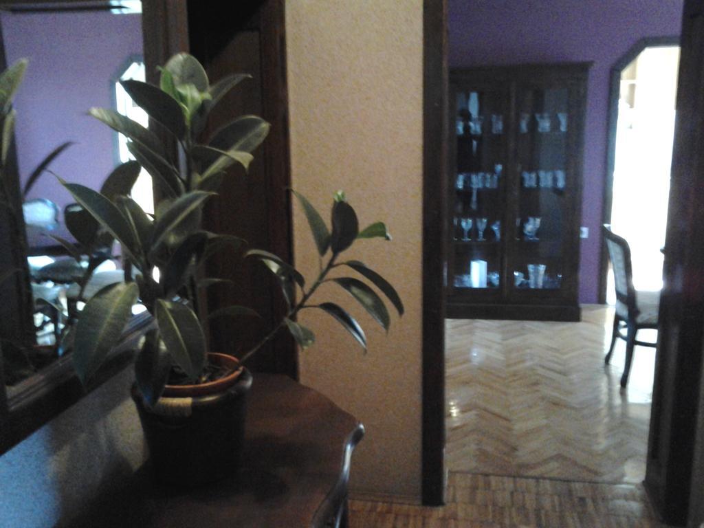 Apartments Jurasic 오굴린 외부 사진
